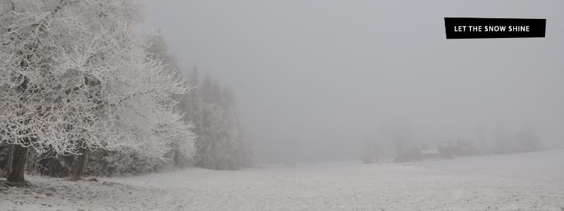 snowy