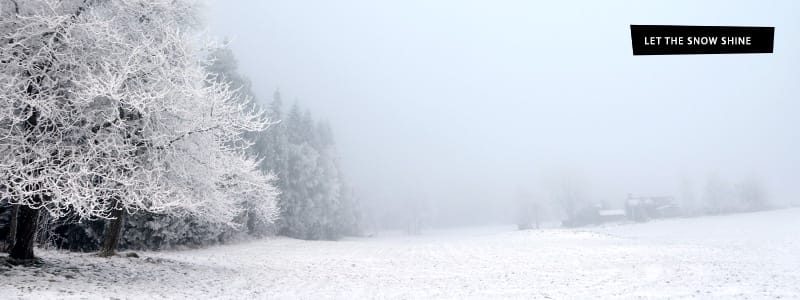 snowy2