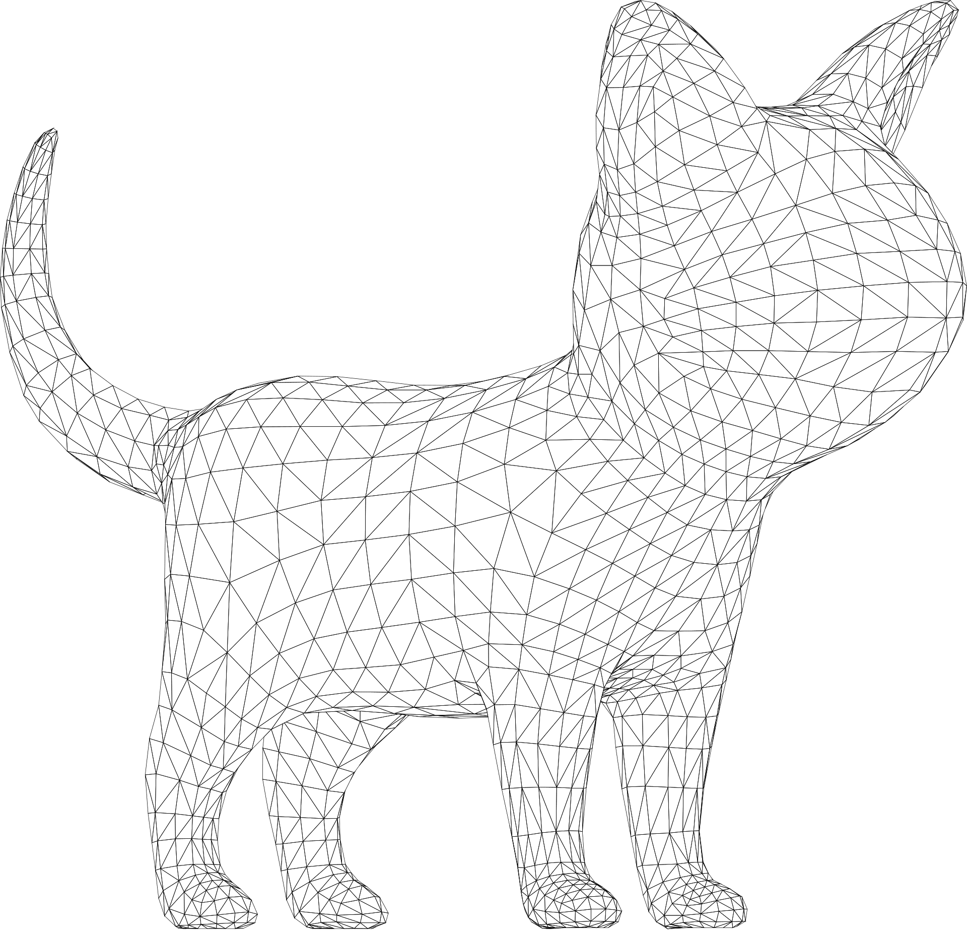 cat-8016029_1920