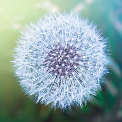 underverk_500px